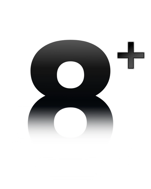 Premium Shopify Templates