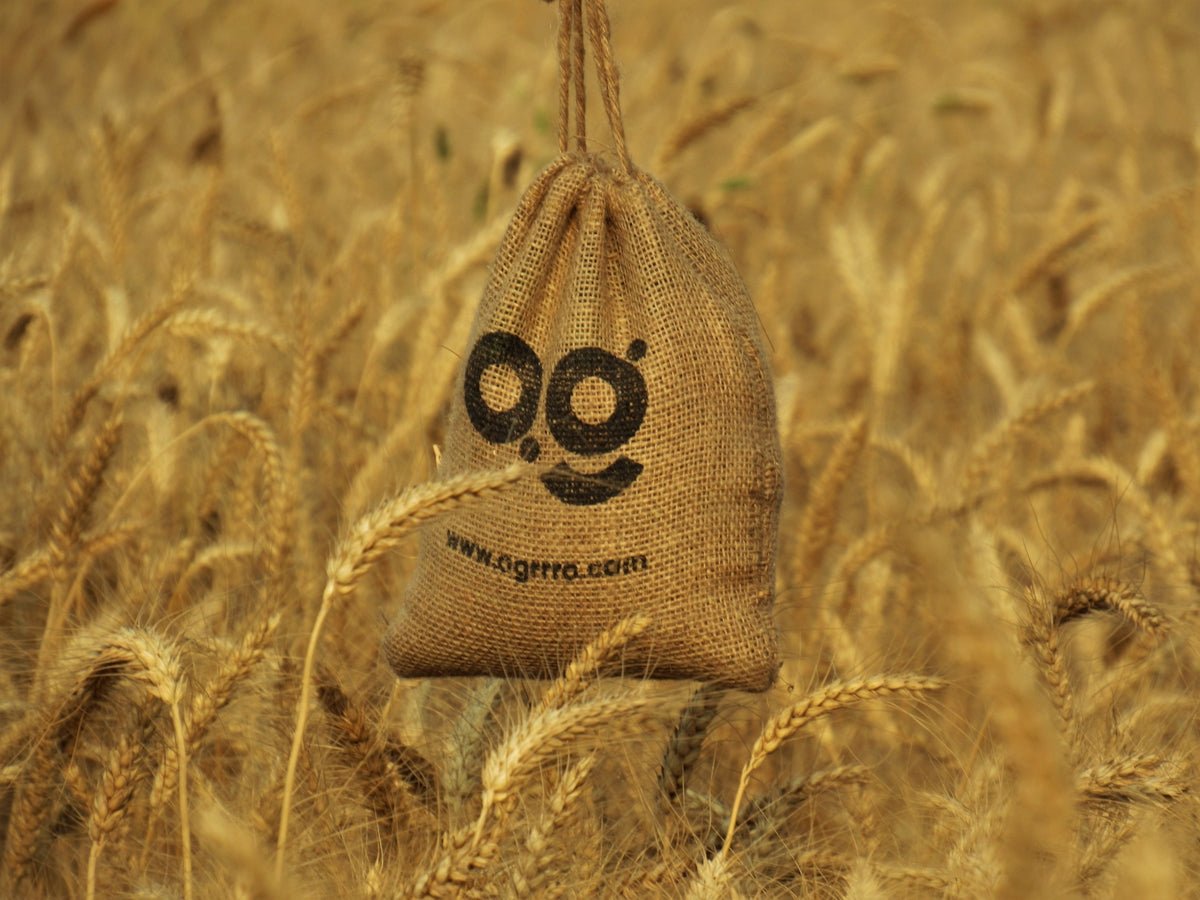 Shopify Themes That Drive Sales - Materia Themess